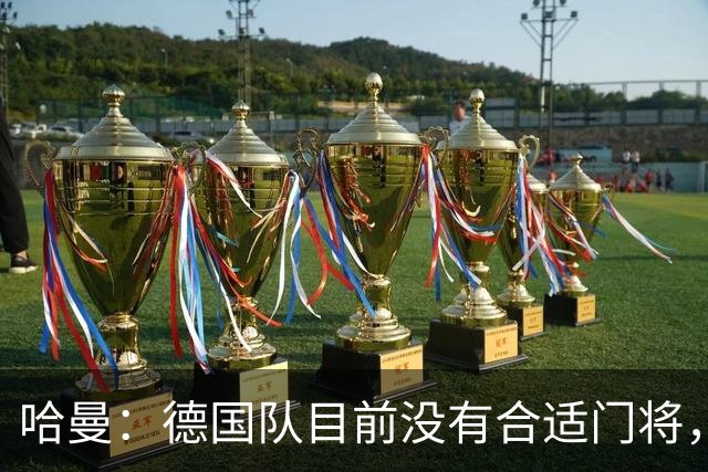 哈曼：德国队目前没有合适门将，克洛普可以征召卡里乌斯